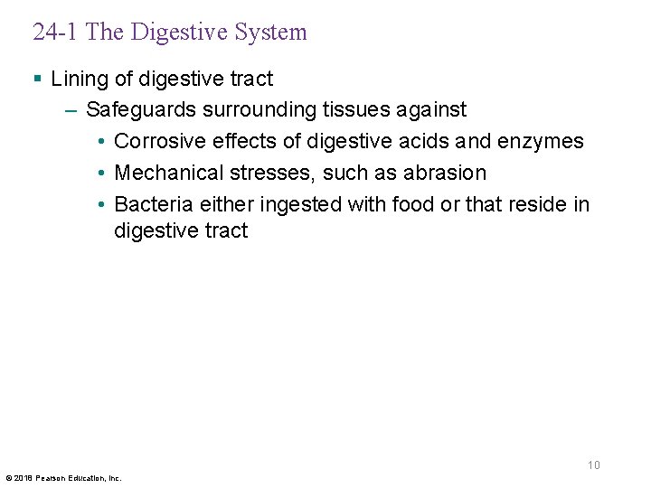 24 -1 The Digestive System § Lining of digestive tract – Safeguards surrounding tissues