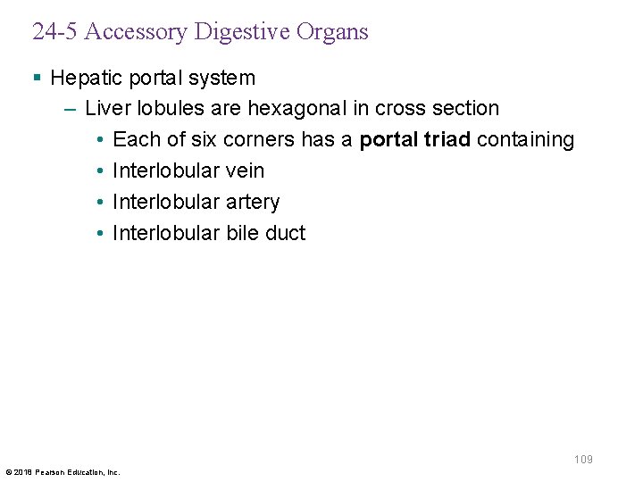 24 -5 Accessory Digestive Organs § Hepatic portal system – Liver lobules are hexagonal