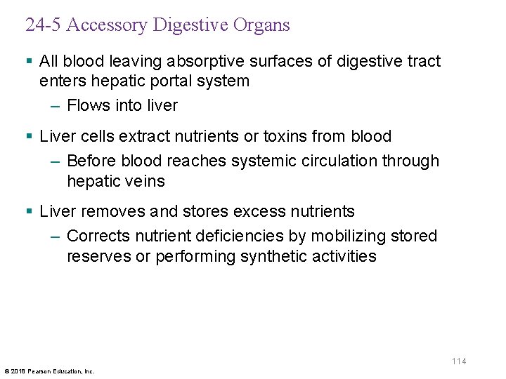 24 -5 Accessory Digestive Organs § All blood leaving absorptive surfaces of digestive tract