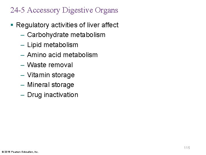 24 -5 Accessory Digestive Organs § Regulatory activities of liver affect – Carbohydrate metabolism