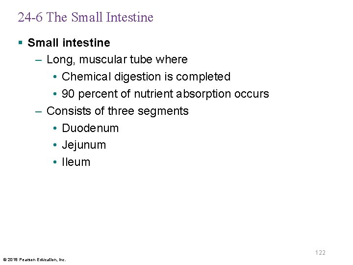 24 -6 The Small Intestine § Small intestine – Long, muscular tube where •