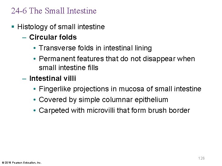 24 -6 The Small Intestine § Histology of small intestine – Circular folds •