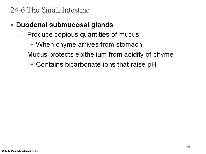 24 -6 The Small Intestine § Duodenal submucosal glands – Produce copious quantities of