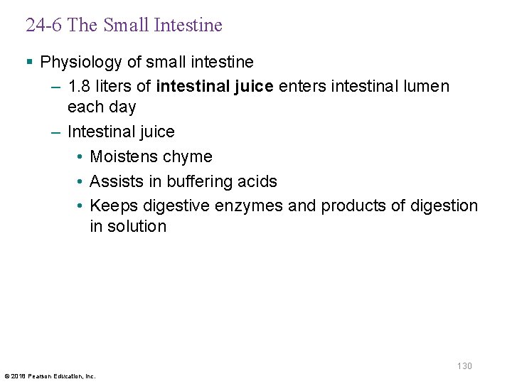24 -6 The Small Intestine § Physiology of small intestine – 1. 8 liters