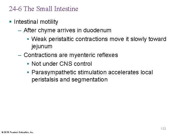 24 -6 The Small Intestine § Intestinal motility – After chyme arrives in duodenum