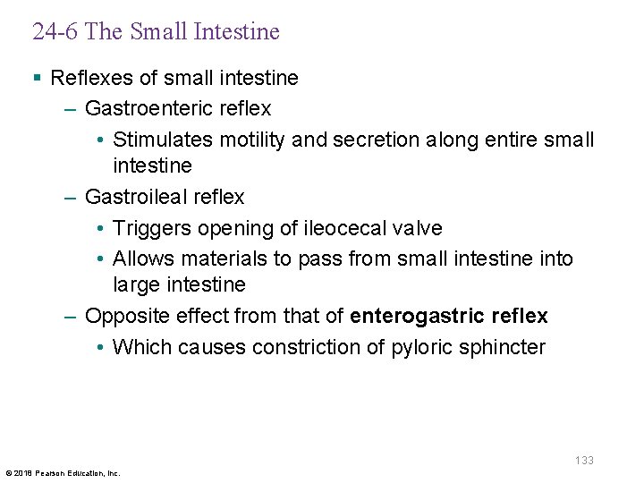 24 -6 The Small Intestine § Reflexes of small intestine – Gastroenteric reflex •