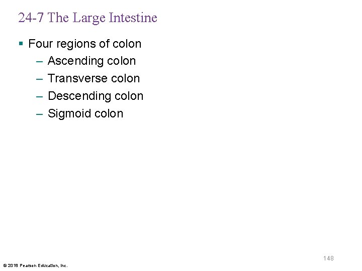 24 -7 The Large Intestine § Four regions of colon – Ascending colon –