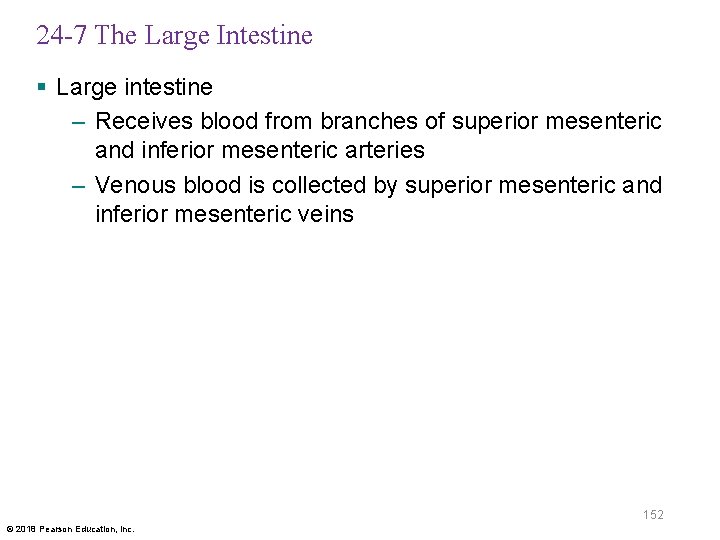 24 -7 The Large Intestine § Large intestine – Receives blood from branches of