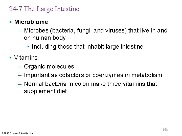 24 -7 The Large Intestine § Microbiome – Microbes (bacteria, fungi, and viruses) that