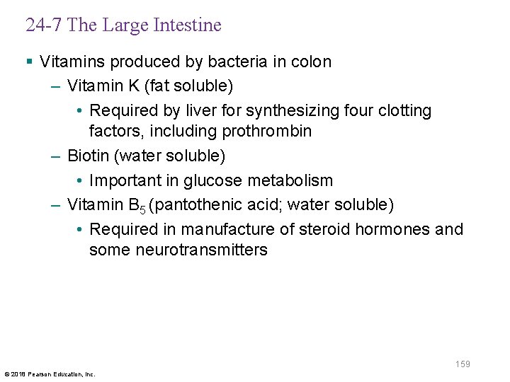 24 -7 The Large Intestine § Vitamins produced by bacteria in colon – Vitamin