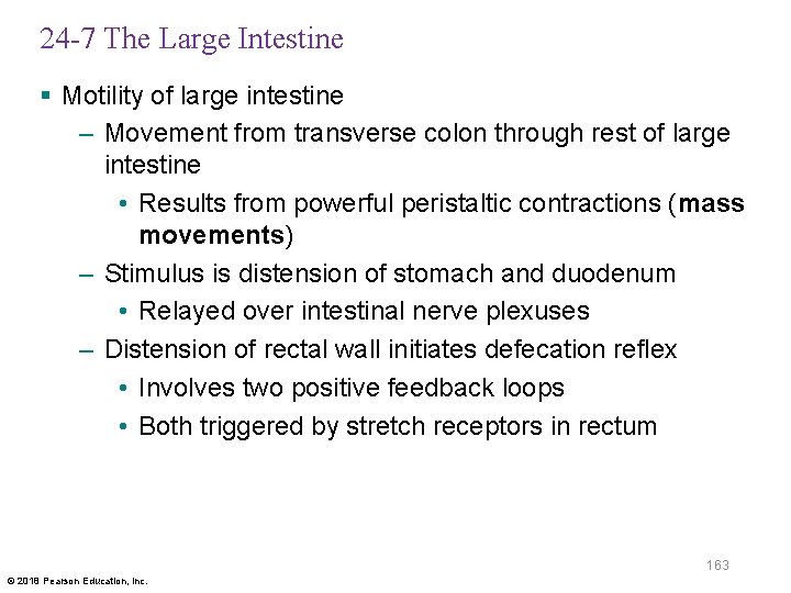 24 -7 The Large Intestine § Motility of large intestine – Movement from transverse