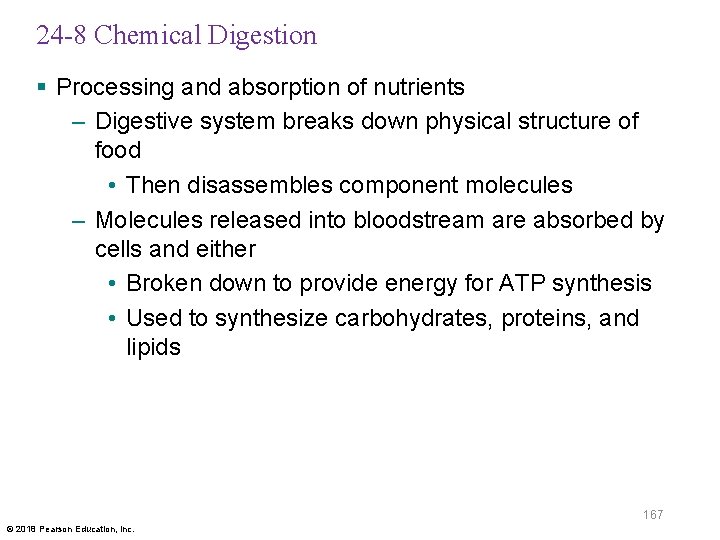 24 -8 Chemical Digestion § Processing and absorption of nutrients – Digestive system breaks
