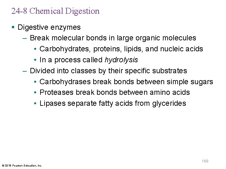 24 -8 Chemical Digestion § Digestive enzymes – Break molecular bonds in large organic