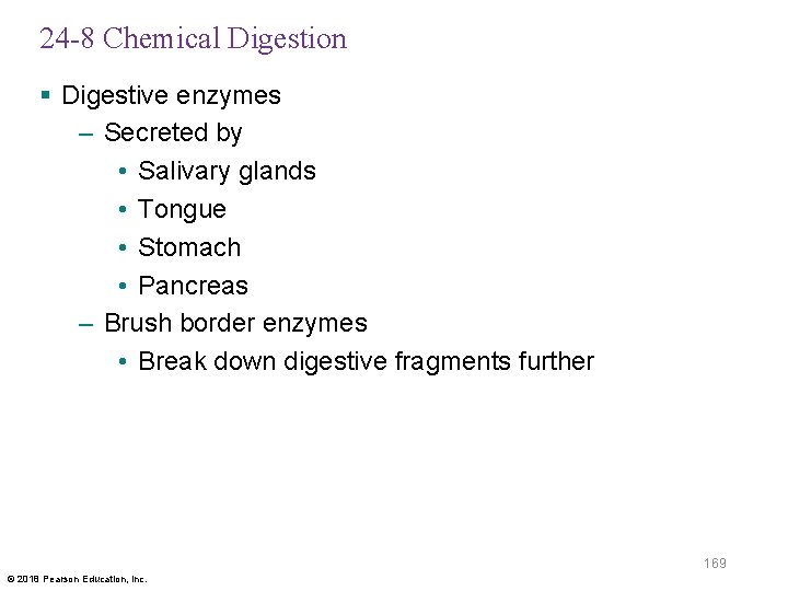 24 -8 Chemical Digestion § Digestive enzymes – Secreted by • Salivary glands •