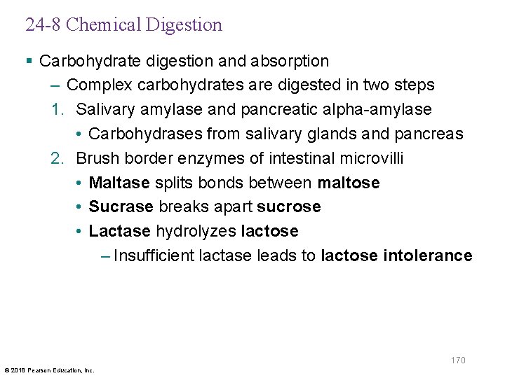 24 -8 Chemical Digestion § Carbohydrate digestion and absorption – Complex carbohydrates are digested