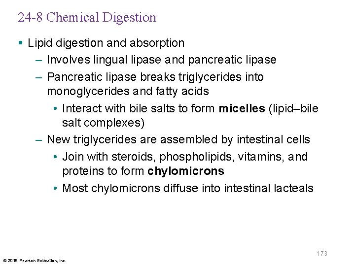 24 -8 Chemical Digestion § Lipid digestion and absorption – Involves lingual lipase and