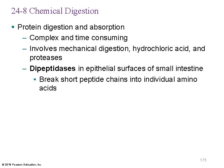 24 -8 Chemical Digestion § Protein digestion and absorption – Complex and time consuming