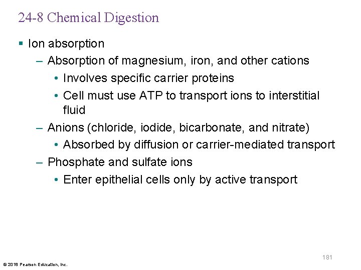 24 -8 Chemical Digestion § Ion absorption – Absorption of magnesium, iron, and other