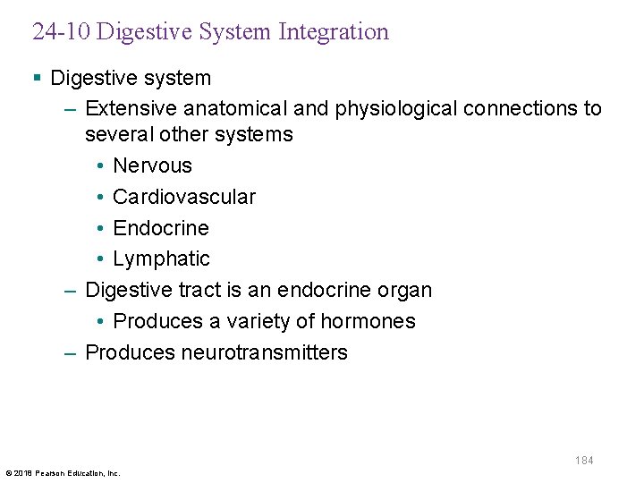 24 -10 Digestive System Integration § Digestive system – Extensive anatomical and physiological connections