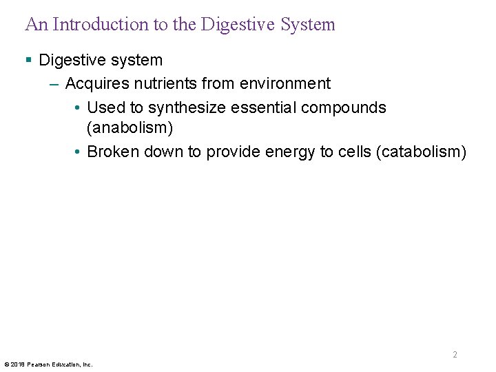 An Introduction to the Digestive System § Digestive system – Acquires nutrients from environment