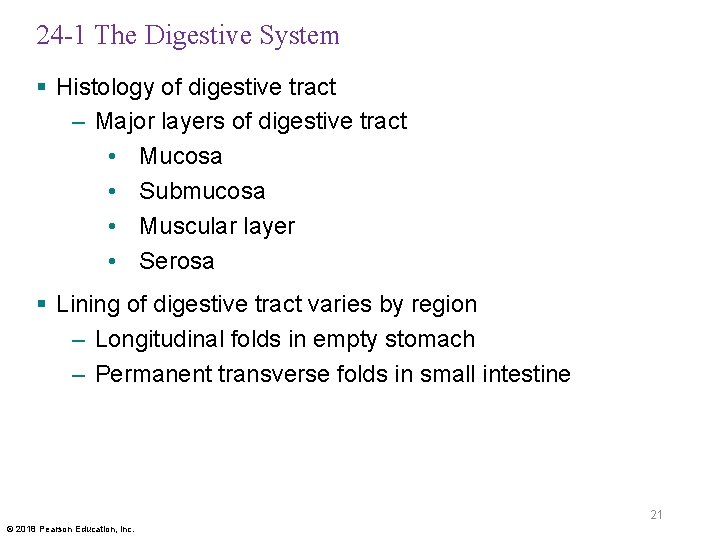 24 -1 The Digestive System § Histology of digestive tract – Major layers of