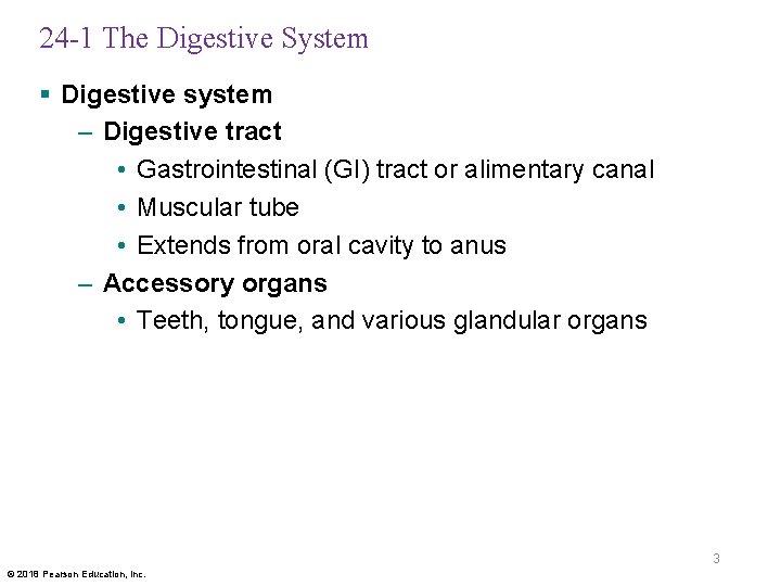 24 -1 The Digestive System § Digestive system – Digestive tract • Gastrointestinal (GI)