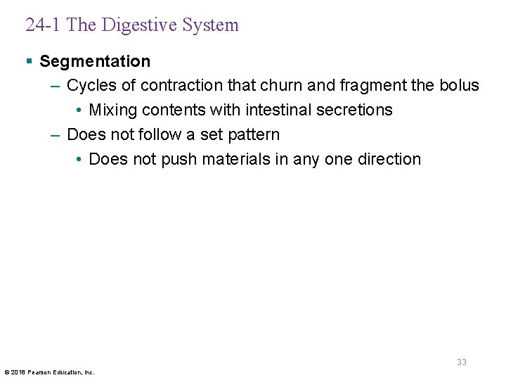 24 -1 The Digestive System § Segmentation – Cycles of contraction that churn and