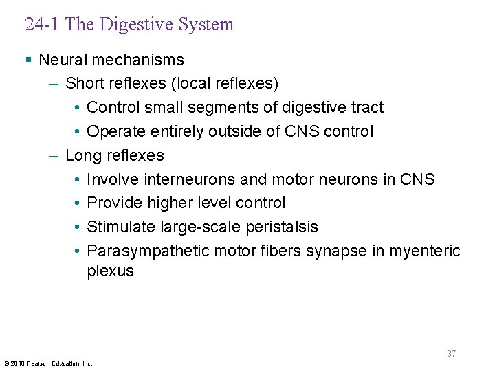 24 -1 The Digestive System § Neural mechanisms – Short reflexes (local reflexes) •