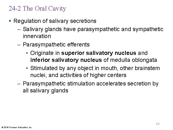 24 -2 The Oral Cavity § Regulation of salivary secretions – Salivary glands have