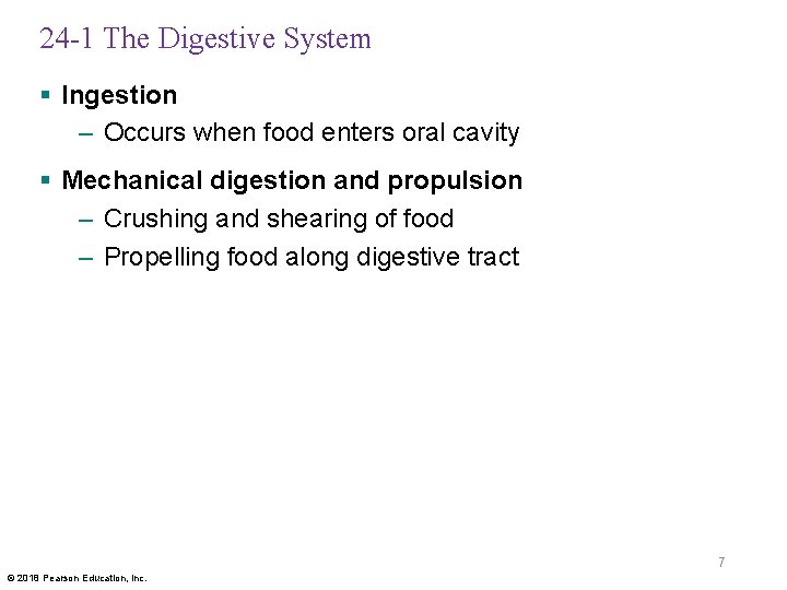 24 -1 The Digestive System § Ingestion – Occurs when food enters oral cavity