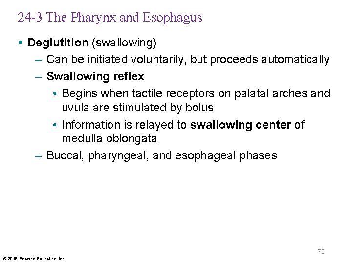 24 -3 The Pharynx and Esophagus § Deglutition (swallowing) – Can be initiated voluntarily,