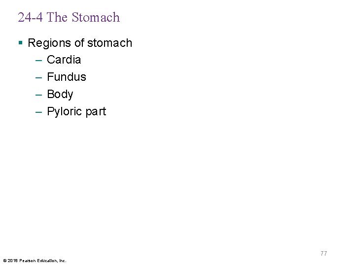 24 -4 The Stomach § Regions of stomach – Cardia – Fundus – Body