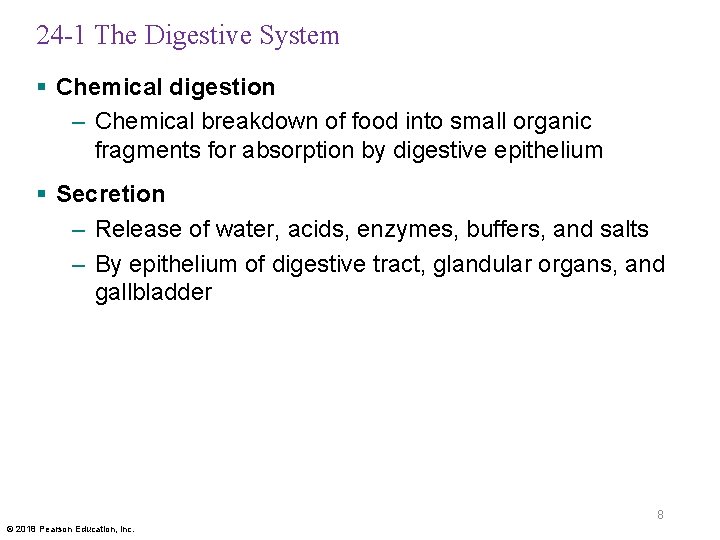 24 -1 The Digestive System § Chemical digestion – Chemical breakdown of food into