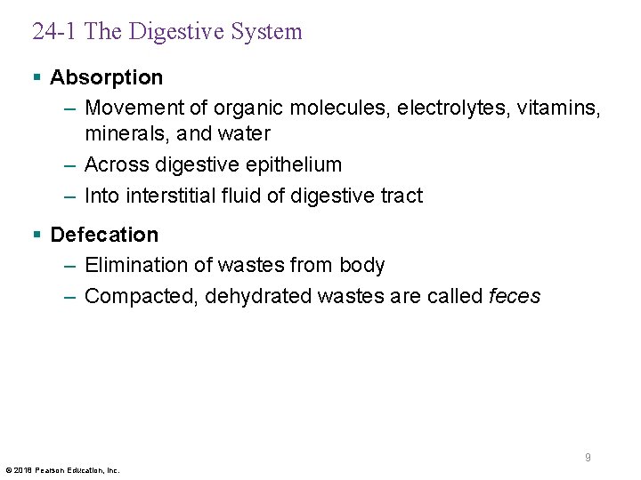 24 -1 The Digestive System § Absorption – Movement of organic molecules, electrolytes, vitamins,