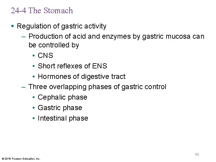 24 -4 The Stomach § Regulation of gastric activity – Production of acid and