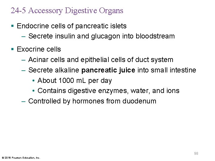 24 -5 Accessory Digestive Organs § Endocrine cells of pancreatic islets – Secrete insulin