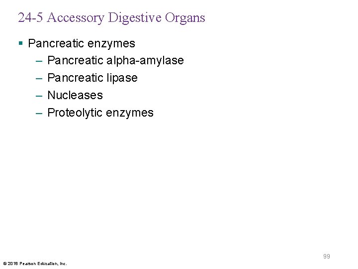 24 -5 Accessory Digestive Organs § Pancreatic enzymes – Pancreatic alpha-amylase – Pancreatic lipase