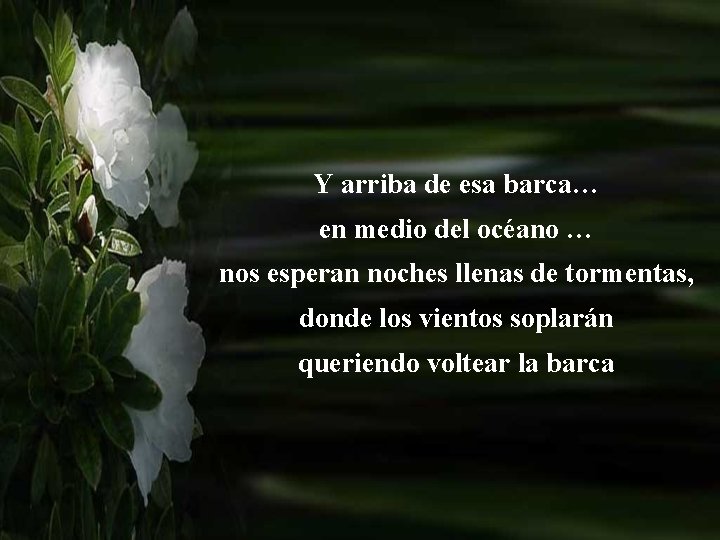 Y arriba de esa barca… en medio del océano … nos esperan noches llenas