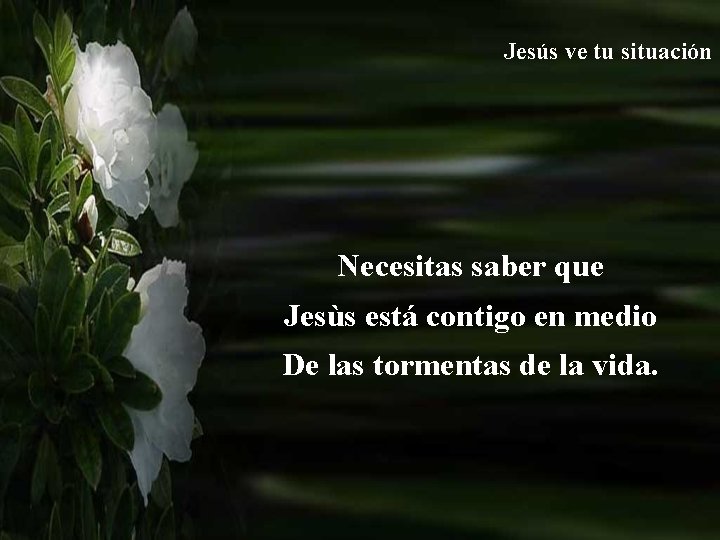 Jesús ve tu situación Necesitas saber que Jesùs está contigo en medio De las