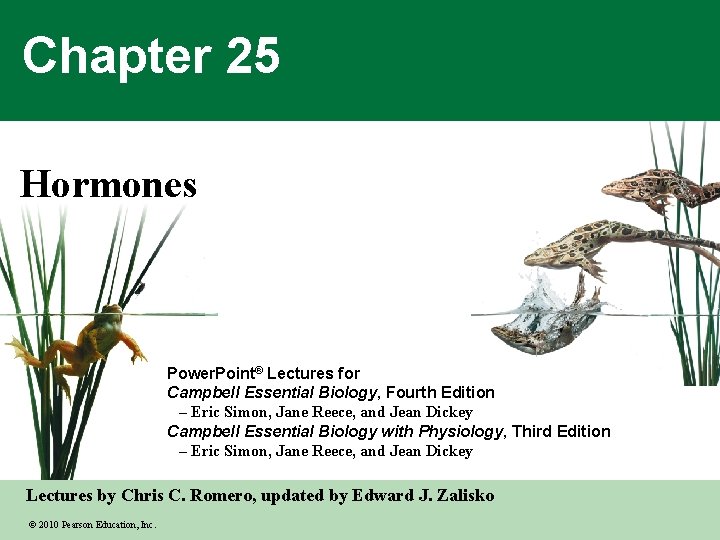 Chapter 25 Hormones Power. Point® Lectures for Campbell Essential Biology, Fourth Edition – Eric