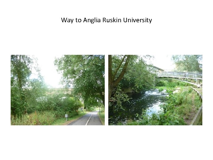 Way to Anglia Ruskin University 