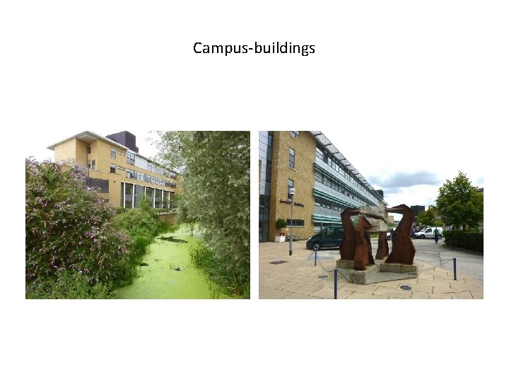 Campus-buildings 