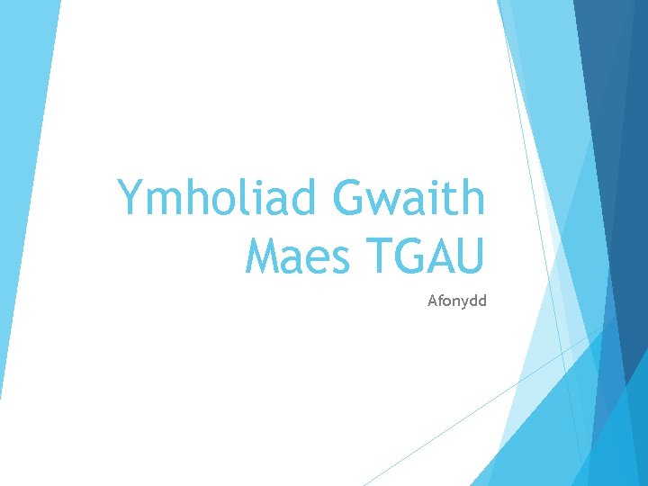 Ymholiad Gwaith Maes TGAU Afonydd 