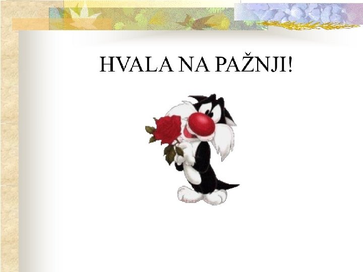 Hvala na pažnji! 