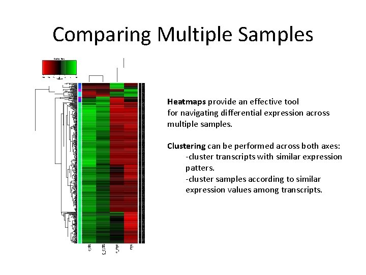 Comparing Multiple Samples Heatmaps provide an effective tool for navigating differential expression across multiple