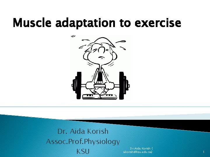 Muscle adaptation to exercise Dr. Aida Korish Assoc. Prof. Physiology KSU Dr. Aida Korish