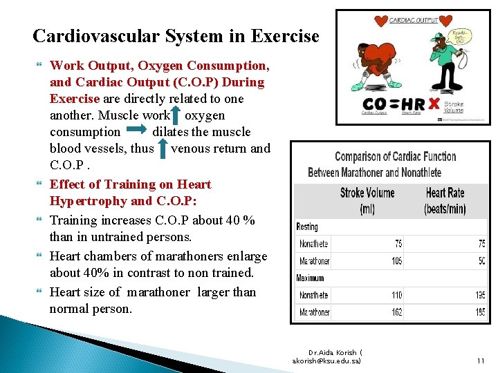 Cardiovascular System in Exercise Work Output, Oxygen Consumption, and Cardiac Output (C. O. P)