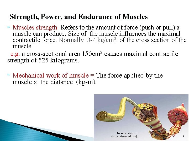 Strength, Power, and Endurance of Muscles strength: Refers to the amount of force (push