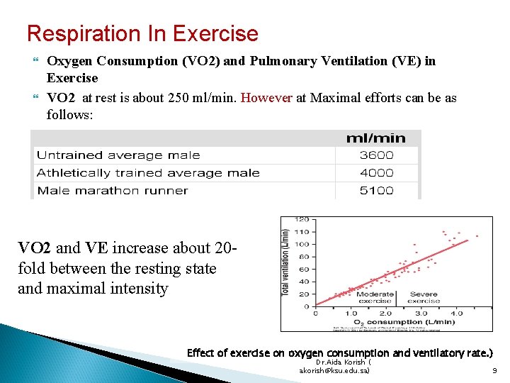 Respiration In Exercise Oxygen Consumption (VO 2) and Pulmonary Ventilation (VE) in Exercise VO