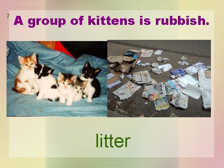 7 A group of kittens is rubbish. litter 